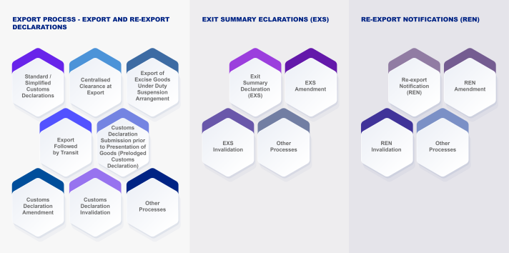 Export process and exit summary declarations